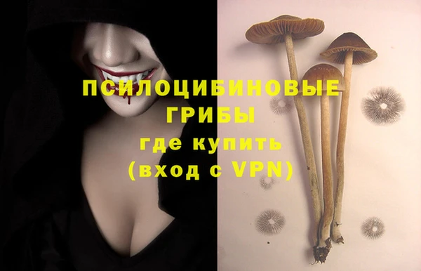 мескалин Козельск