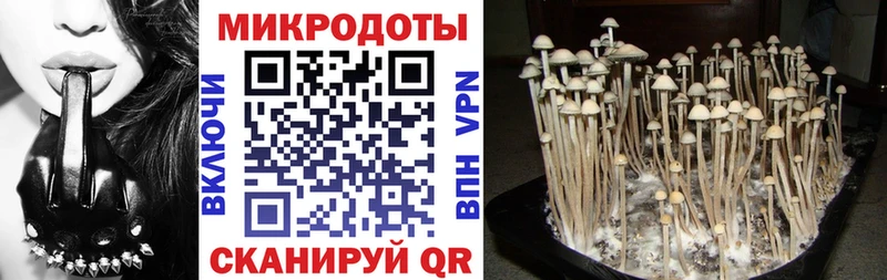 Галлюциногенные грибы GOLDEN TEACHER  Купить где  Качканар 